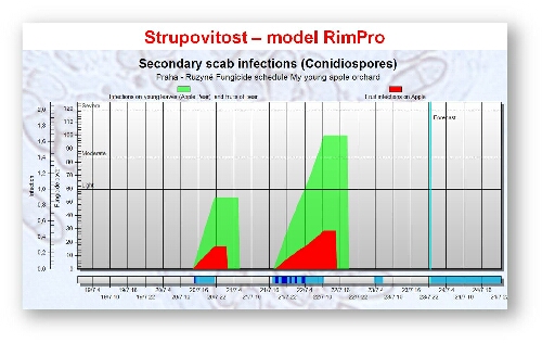 Infekce strupovitosti - RimPro